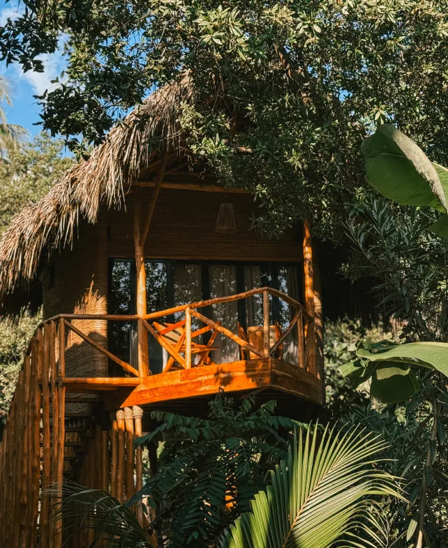 Jungle Tree House