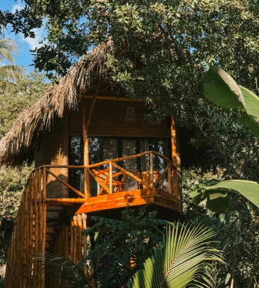 Jungle Tree House